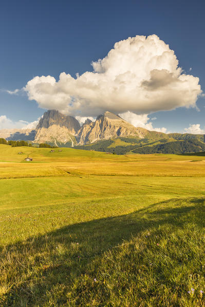 Alpe di Siusi/Seiser Alm, Sassolungo and Sassopiatto Dolomites, South Tyrol, Bolzano province, Trentino Alto Adige, Italy, Europe