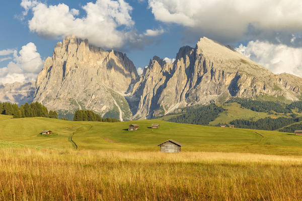 Alpe di Siusi/Seiser Alm, Sassolungo and Sassopiatto Dolomites, South Tyrol, Bolzano province, Trentino Alto Adige, Italy, Europe