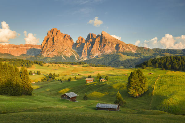 Sunset on Alpe di Siusi/Seiser Alm, Sassolungo and Sassopiatto Dolomites, South Tyrol, Bolzano province, Trentino Alto Adige, Italy, Europe