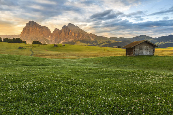 Sunrise on Alpe di Siusi/Seiser Alm, Sassolungo and Sassopiatto Dolomites, South Tyrol, Bolzano province, Trentino Alto Adige, Italy, Europe