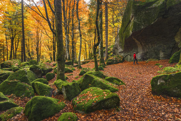 Hiker looks at the big rock of Bagni di Masino forest in Autumn time, Val Masino, Sondrio province, Valtellina, Lombardy, Italy, Europe  (MR)