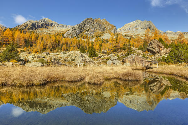 Alps (Cima degli Alli, pizzo dell'Averta) reflected into a pond in Autumn time, Preda Rossa, Val Masino, Valtellina, Sondrio province, Lombardy, Italy, Europe