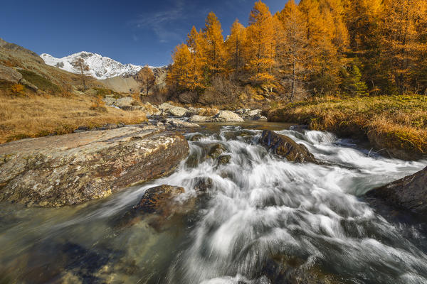 Preda Rossa in Autumn time, Val Masino, Valtellina, Sondrio province, Lombardy, Italy, Europe