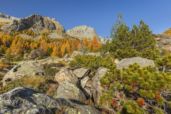 Preda Rossa in Autumn time, Val Masino, Valtellina, Sondrio province, Lombardy, Italy, Europe