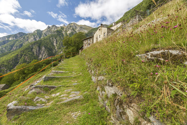A muletrack leading to Dasile village, Piuro, Chiavenna valley, Sondrio province, Lombardy, Italy, Europe
