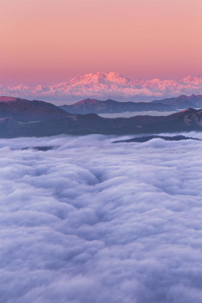 Sunrise on Rosa mount and Pennine Alps above the clouds, view from the top of Coltignone mount, Piani dei Resinelli, Lecco province, Lombardy, Italy, Europe