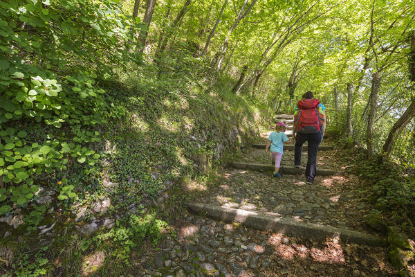 Mom and daughter walking on the path to reaching San Martino church, Griante, lake Como, Como province, Lombardy, Italy, Europe (MR)
