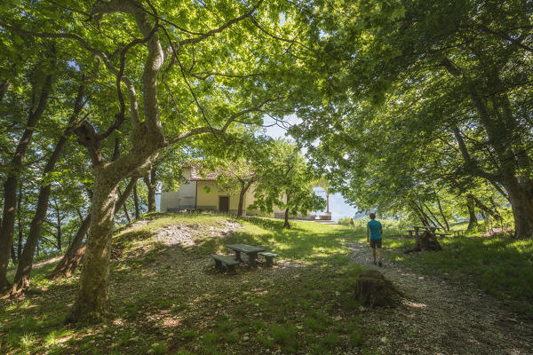 Hiker walking in the wood and reach San Martino church, Griante, lake Como, Como province, Lombardy, Italy, Europe (MR)