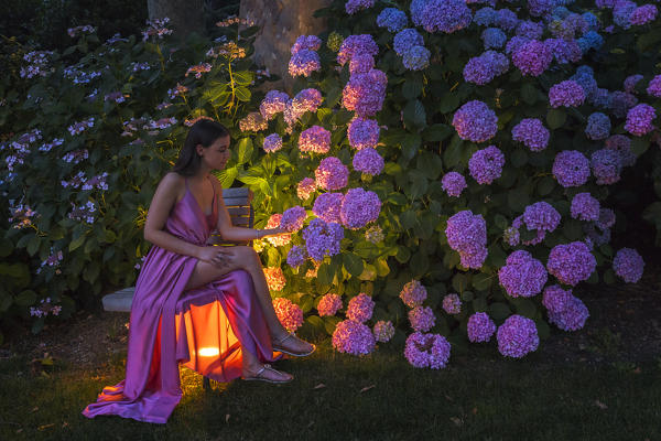 Girl take relaxing and looks Hortensia flowers (Hydrangea) in a garden of Olmo villa at the evening, Como city, Lombardy, Italy, Europe (MR)