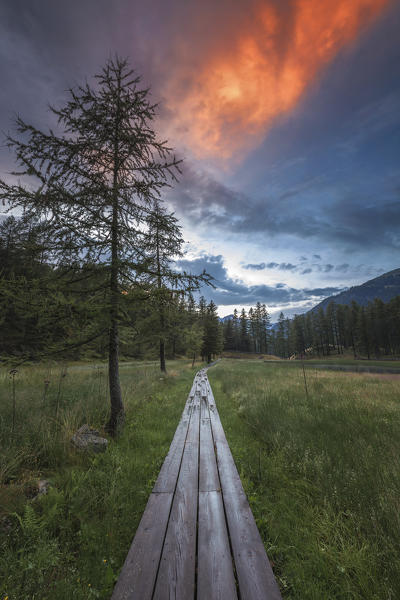 Sunset on meadows of Palu dal Fén lake, Gualdera, Campodolcino, Sondrio province, Spluga valley, Lombardy, Italy, Europe
