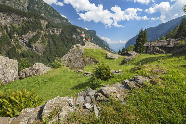 Hiker looks a panorama of the valley from Alpe Zanon, Campodolcino, Sondrio province, Spluga valley, Lombardy, Italy, Europe (MR)