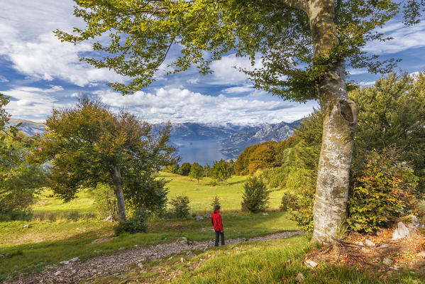 Hiker walks on path near Sev refuge, autumn trees frame lake Como (ramo di Lecco), Valbrona, Corni di Canzo, Como and Lecco province, Lombardy, Italy, Europe (MR)