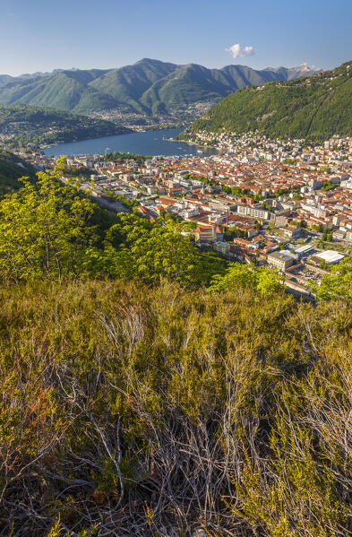 A view of Como city and lake Como from Spina Verde, Lombardy, Italy, Europe