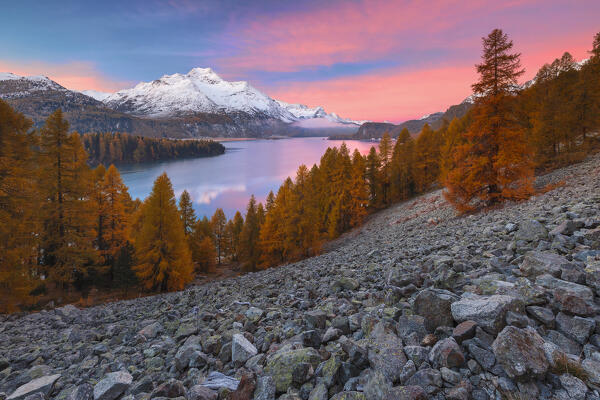 Autumnal sunrise on lake Sils, Engadine, Canton of Graubunden, Maloja district, Switzerland, Europe