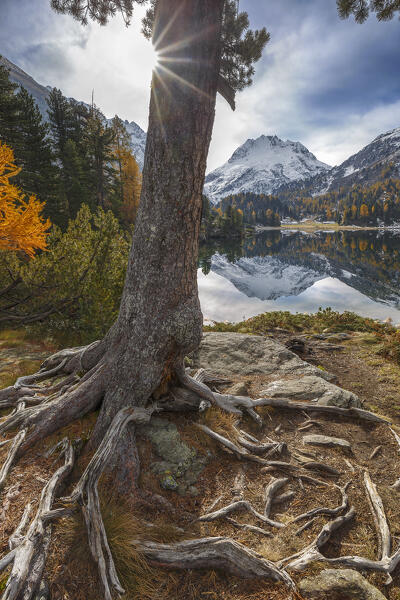 Autumnal view of lake Cavloc, Forno valley, Bregaglia Valley, Maloja district, Engadine, Canton of Graubunden, Switzerland, Europe
        