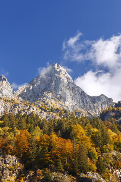 Autumnal view on the mountains of Val Masino from Bagni di Masino, Sondrio  province, Valtellina, Lombardy, Italy, Europe