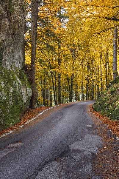 Road in the Autumn, Bagni di Masino, Val Masino, Sondrio  province, Valtellina, Lombardy, Italy, Europe