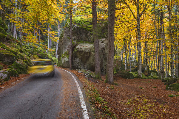 Road in the Autumn, Bagni di Masino, Val Masino, Sondrio  province, Valtellina, Lombardy, Italy, Europe
