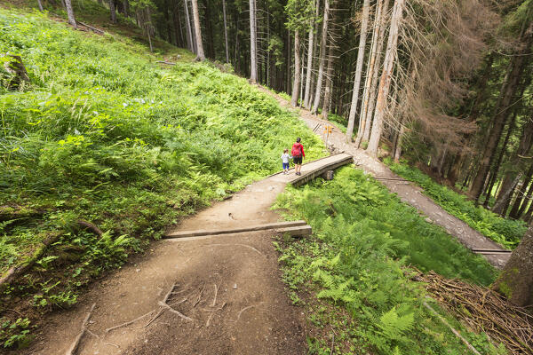 Mom and daughter walk into the wood, Rabbi valley (val di Rabbi), Trento province, Trentino-Alto Adige, Italy, Europe (MR)