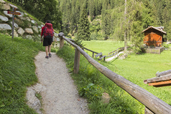 Hiker walk on the path to reach Bagni di Rabbi, Rabbi valley (val di Rabbi), Trento province, Trentino-Alto Adige, Italy, Europe (MR)