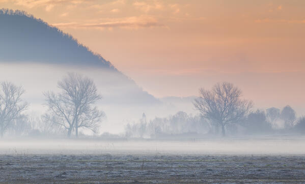 Foggy sunrise on frosted fields, Airuno, Lecco province, Lombardy, Italy, Europe