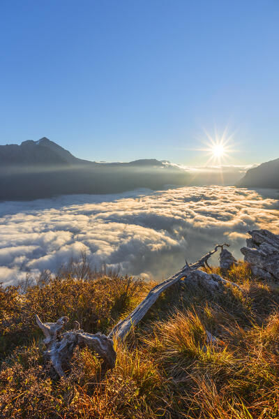 First light on lake Como (ramo di Lecco) covered by the fog, Barni, Como province, Lombardy, Italy, Europe