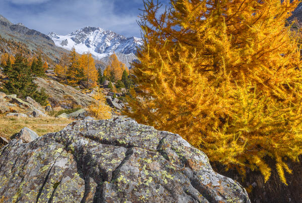 Disgrazia mount, Preda Rossa, Valtellina, Valmasino, Sondrio province, Lombardy, Italy, Europe