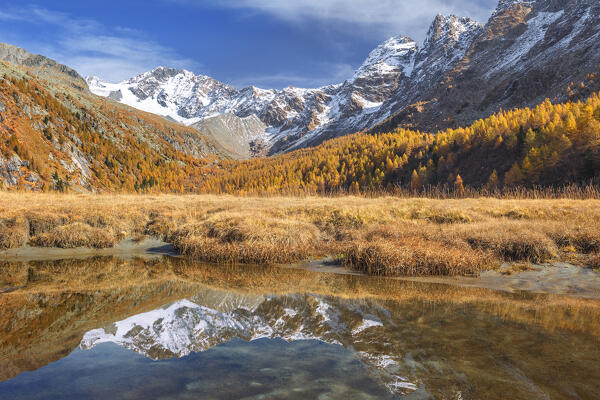 Reflections of Disgrazia mount in Autumn time, Preda Rossa, Valtellina, Valmasino, Sondrio province, Lombardy, Italy, Europe