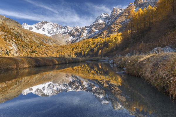 Reflections of Disgrazia mount in Autumn time, Preda Rossa, Valtellina, Valmasino, Sondrio province, Lombardy, Italy, Europe