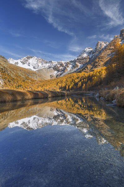 Reflections of Disgrazia mount in Autumn time, Preda Rossa, Valtellina, Valmasino, Sondrio province, Lombardy, Italy, Europe
