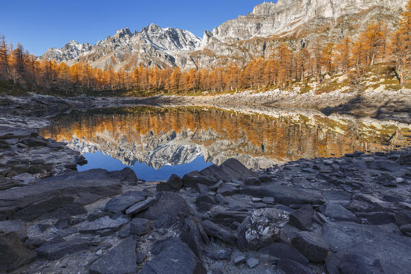 Autumn reflections on the Nero lake (lago Nero), Alpe Devero, Baceno, Alpe Veglia and Alpe Devero natural park, province of Verbano-Cusio-Ossola, Piedmont, italy, Europe