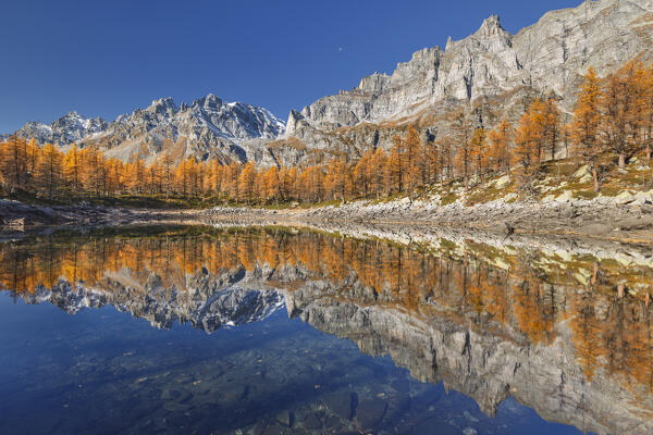 Autumn reflections on the Nero lake (lago Nero), Alpe Devero, Baceno, Alpe Veglia and Alpe Devero natural park, province of Verbano-Cusio-Ossola, Piedmont, italy, Europe