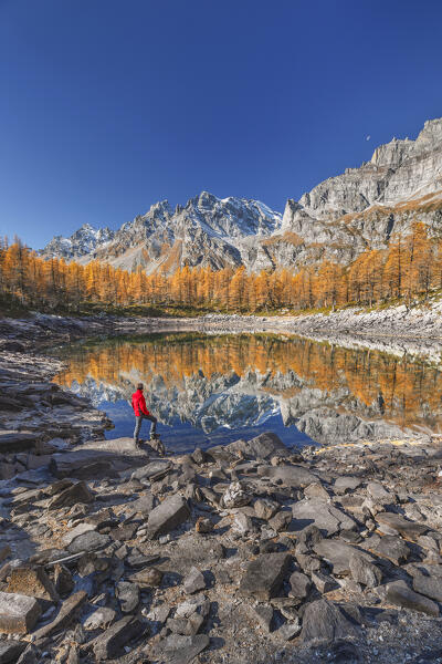 Hiker looks the Nero lake (lago Nero) in Autumn time, Alpe Devero, Baceno, Alpe Veglia and Alpe Devero natural park, province of Verbano-Cusio-Ossola, Piedmont, italy, Europe (MR)