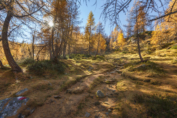 Autumnal path to reach Nero lake (lago Nero), Alpe Devero, Baceno, Alpe Veglia and Alpe Devero natural park, province of Verbano-Cusio-Ossola, Piedmont, italy, Europe
