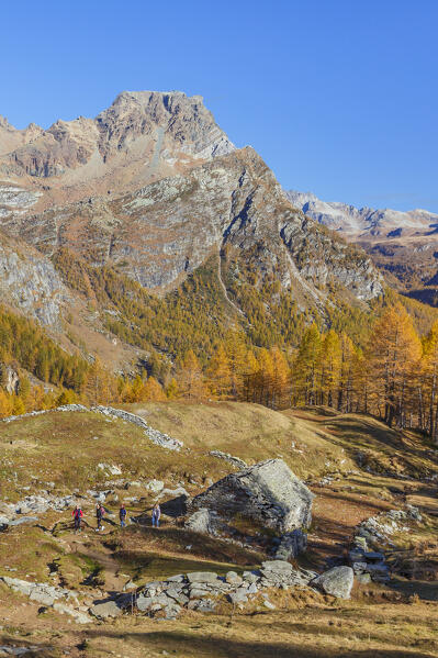 Hikers on the path of Alpe Misanco in the Autumn time, Alpe Devero, Baceno, Alpe Veglia and Alpe Devero natural park, province of Verbano-Cusio-Ossola, Piedmont, italy, Europe