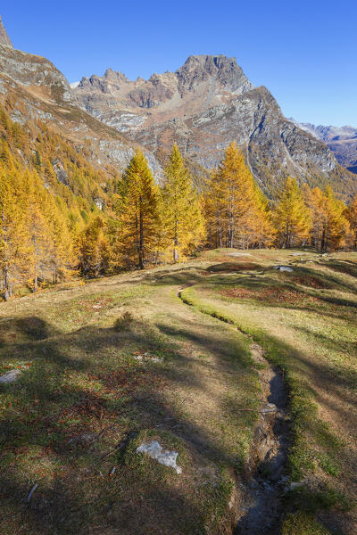 Autumnal landscape on the path of Nero lare (lago Nero), Alpe Devero, Baceno, Alpe Veglia and Alpe Devero natural park, province of Verbano-Cusio-Ossola, Piedmont, italy, Europe