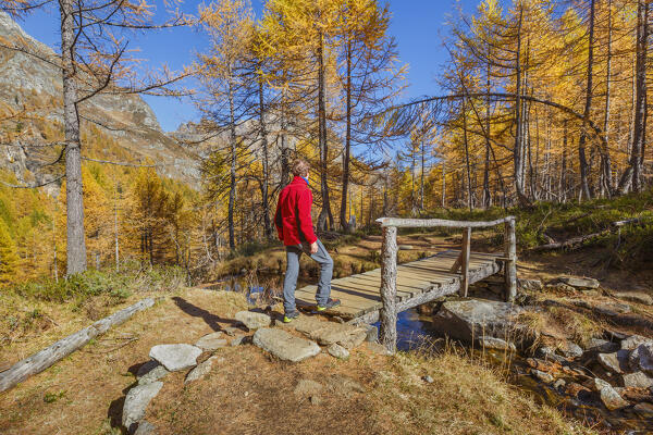 Hiker walks on the Autumnal path to reach Nero lake (lago Nero), Alpe Devero, Baceno, Alpe Veglia and Alpe Devero natural park, province of Verbano-Cusio-Ossola, Piedmont, italy, Europe (MR)