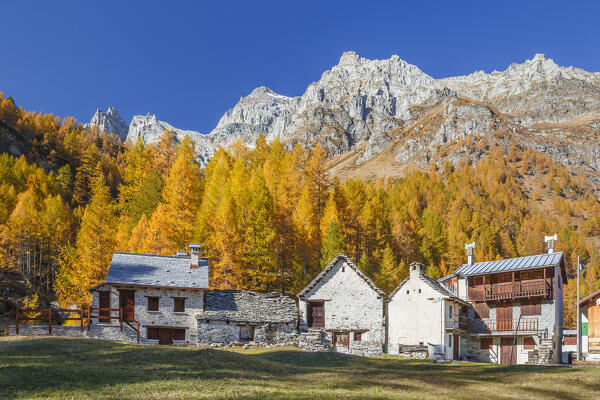The Pedemonte village in autumnal time, Alpe Devero, Baceno, Alpe Veglia and Alpe Devero natural park, province of Verbano-Cusio-Ossola, Piedmont, italy, Europe