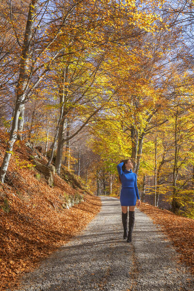 Girl walks on the path and admire colors of the autumn forest, Ponna Superiore, Intelvi valley (val d'Intelvi), Como province, Lombardy, Italy, Europe (MR)