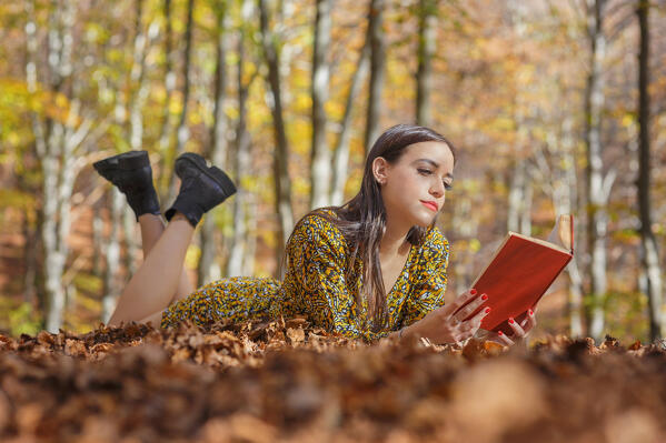 A portrait of a young woman while reading a book on a leaves carpet in the autumn forest, Ponna Superiore, Intelvi valley (val d'Intelvi), Como province, Lombardy, Italy, Europe (MR)