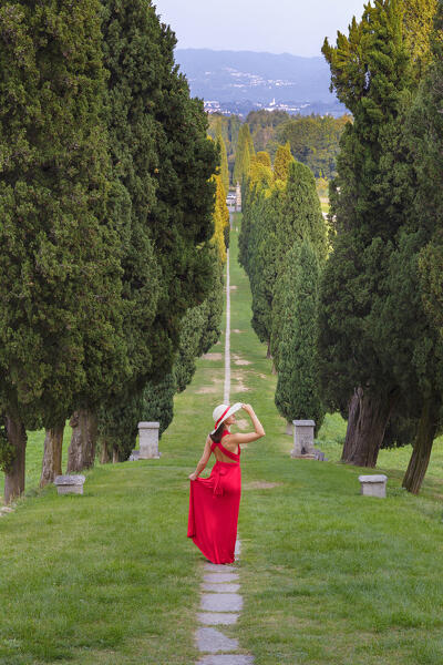 A young woman in red dress along the cypress avenue (Viale dei Cipressi), Brianza, Inverigo, Como province, Lombardy, Italy, Europe (MR)