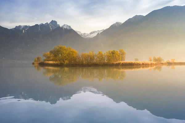 Morning reflections on Riserva Naturale Pian di Spagna e Lago di Mezzola, Mera river, lake Como, Como and Sondrio province, Lombardy, Italy, Europe