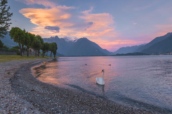 Sunset on lake Como from Domaso beach, Como province, Lombardy, Italy, Europe