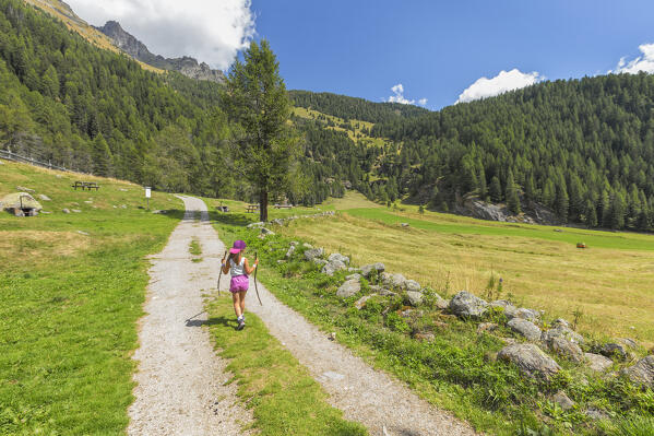 Child walks on a path to Covel lake and Covel waterfall, Peio valley, Stelvio National Park, Trento province, Trentino Alto Adige, Italy, Europe (MR)