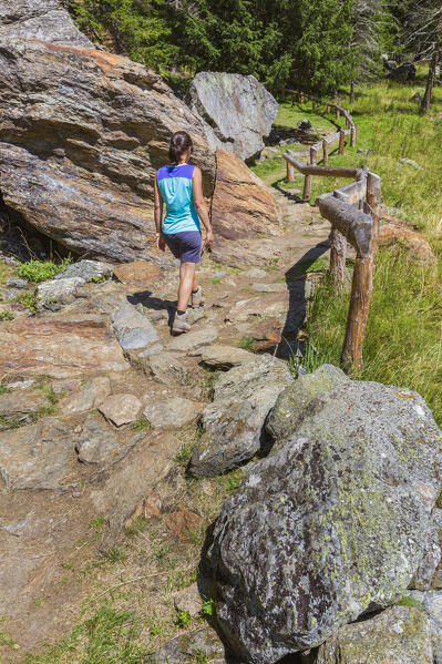 Hiker walks on a path to Covel lake and Covel waterfall, Peio valley, Stelvio National Park, Trento province, Trentino Alto Adige, Italy, Europe (MR)