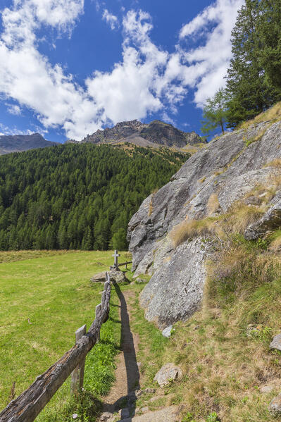 A path to Covel lake and Covel waterfall, Peio valley, Stelvio National Park, Trento province, Trentino Alto Adige, Italy, Europe (MR)