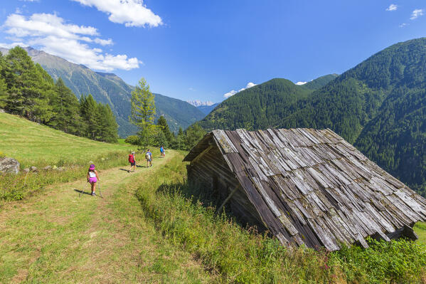 Hikers walks on a path from Covel lake and Covel waterfall to Peio Paese, Peio valley, Stelvio National Park, Trento province, Trentino Alto Adige, Italy, Europe (MR)