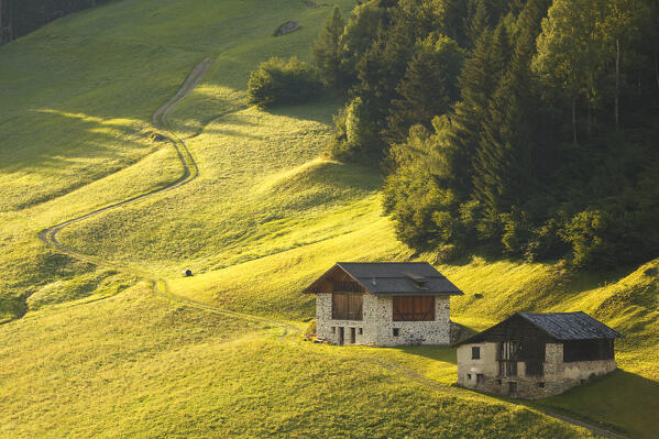 Morning lights on Sun valley meadows (val di Sole) from Vermiglio village, Trento province, Trentino alto adige, Italy, Europe