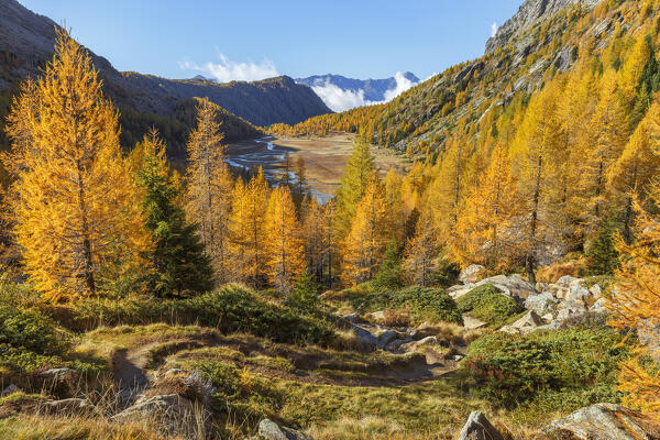 Preda Rossa, Val Masino, Valtellina, Sondrio province, Lombardy, Italy, Europe