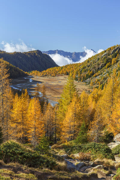 Preda Rossa, Val Masino, Valtellina, Sondrio province, Lombardy, Italy, Europe